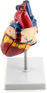 S͌^ ݌v inUw p p Sf U vX`bN S ~j  w