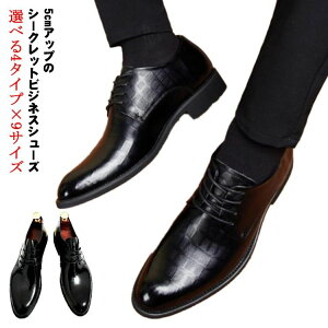 23.5cm V[NbgV[Y 5cmAbv 27.5cm PUU[ 