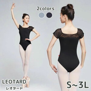 X Lk  킢  Vv 傫TCY pbht K [X  WjA fB[X l I^[h