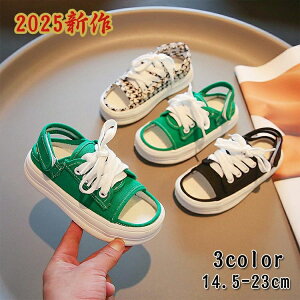 [Jb Xb| T{T_ ؂ Xj[J[ ƂȂ fB[X X|[cT_   fB[X