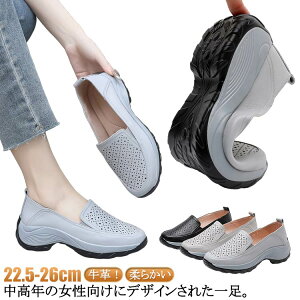 JW t  _炩  v {v U[V[Y 4cm ₷ V[Y Xb|^Cv }}V[Y