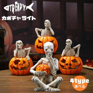 nE  fR[V pvL u XJ  WbNI[^   v ڂ nEB Cg