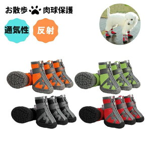 V[Y u[ct hbOV[Y pC ^ ^ t  sS  ~ ʋC U ₷ EȂ C