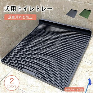 �V�[�c�j�� �X�N�G�A�h�b�O�g���[����������U�h�~ �h�b�O�g���[ ���g���[�j���O�g���[ �����p �y�b�g�g�C�� ���p�g�C���g���[