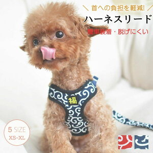 yX[p[SALE/P5{zpn[lX͗lA^ɓKxXgn[lXApn[lXAlGybgpiApn