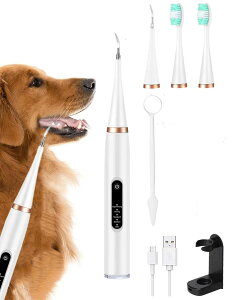 ʓIɎPA 5̃N[jO[h ybguVZbg v[N uV L USB[d ybg̓duV