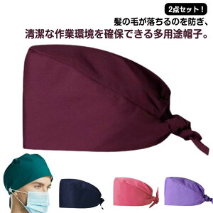 qX z z R n ƖXq Ђ pp ×p 2_Zbg qLbv pX ʋC fB[X 