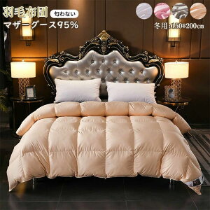 | HтӂƂ |zc Hъ|zc zc H ̃Lg|zc q 100 }U[O[X_E95 VOTCY