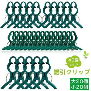 ؃N UƐAیږ؃Nbv |p  } s  Ȃh~ xNbv|p֗Nbv |p y40Zbgz