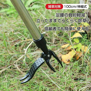 背[L XeX GN Lk G ܂ G Lk ObY ֗   