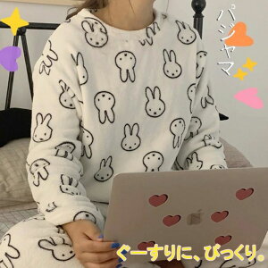   ~ 傫TCY ӂ    fB[X [EGA RR ㉺Zbg  [EFA