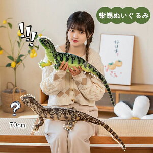 70cm  v[g a CeAG  q  ঒  Ƃ A 