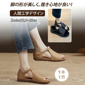 JWA  y ~ ItBXT_ O b L _炩 ăT_ ₷ fB[X T_