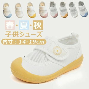 X ܐی C ʋC ĕ T_ xr[ ~ V[Y LbY ėp c T_ ct H  t 㗚 V[Y