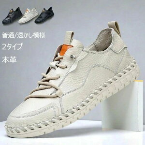 hCrOV ʋC j EH[LOV[Y v JWAV[Y U[V[Y Y RtH[gV[Y {v