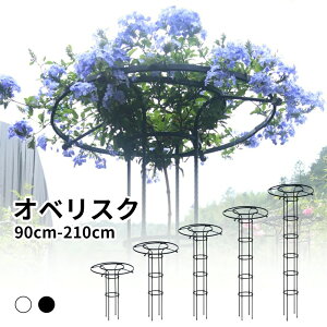 ATKI |pi  Ԏx x K[f op  鐫A ȈՑg  ȒP gX x IxXN