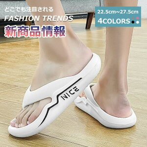 am b q[ RtH[gT_  s  AEghA V[Y ₷ Y fB[X T_