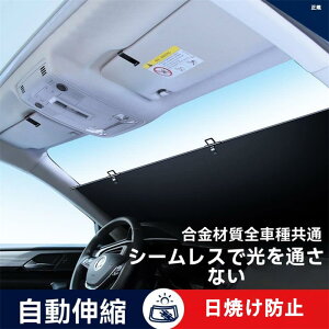 TVF[hAtgV[hToCU[́iW{fB^CvʁjLkߒ[XN[グՌp[L