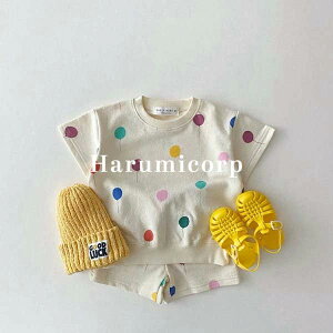 Ԃ [EFA ㉺Zbg ĕ q V[gpc Rbg   tVc V j̎q ̎q xr[ LbY