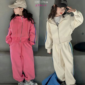 ZbgAbv XEFbg qZbg ㉺Zbg g[i[ W[W ̎q WjA W[W  ؍q q H