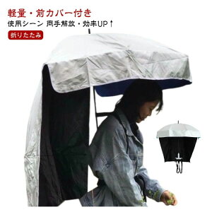 wP UVJbg p\ 悯 Jbg P  bN^ w ԂP _ K[fjO ނ