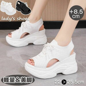 X|[cbVT_ Xj[J[T_ T_ EFbW\[ y bV T_ 8.5cmq[ fB[X