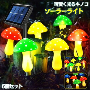  K[fjO LmRCg LmRv v 뉀 Cg O C~l[V 킢 \[[Cg LmR