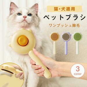 ubVO }bT[W XbJ[uV ybg ɂȂuV ю uV uV LuV ybgp uV