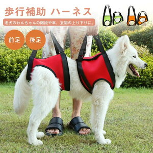 p pn[lX p 㑫 O オ p s VjA ʋC bV p s⏕n[lX n[lX 