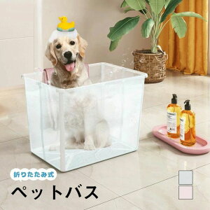  ybgoX  VN xr[oX ܂݃oX^u Ȉ ܂肽ݎ ybgpoX^u ܂肽 p  oX^u