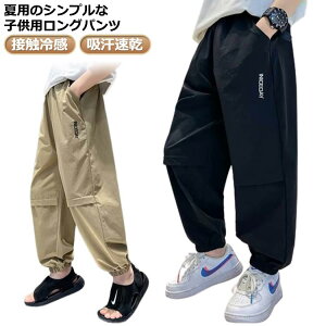   t q j̎q  160  C[W[pc z qǂ ⊴pc ʋC LbY ڐG⊴ 120 WjA