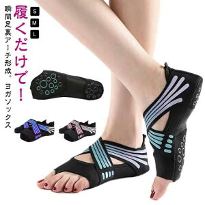 o A[` y܂ ~ T|[^[ K T|[^[ V[Y A[` 5{w w  \bNX  y܂