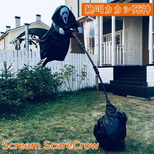 fB  lC ^ LED V鎀_ H  _ JJV | | sC RXvObY ObY nEB ScareCrow