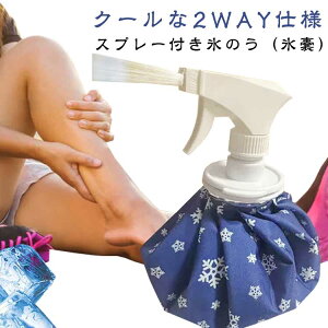 Xv 싅  AEghA p }u ^ XX ~Xg St ACXobO Xv[ ΍ X̂ XX X|[c