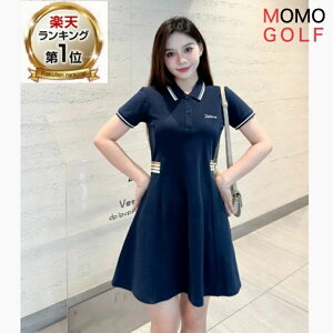 StEGA VvX Sts[ s[X St