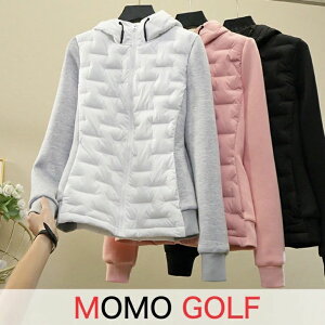 H~StEGA hStWP t[ht_EWPbg