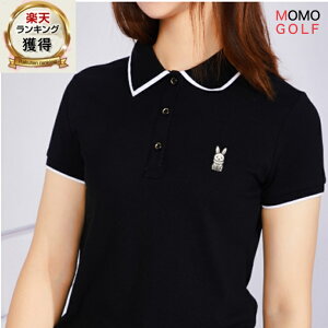 Rbg |Vc ₩  StEGA fB[X