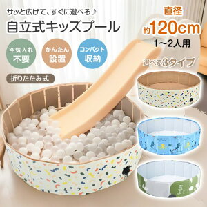 ₳ ܂肽 Csv 31cm  a120cm