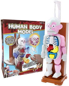 おもちゃ 人体模型 ハロウィンパーティーおもちゃ 恐怖!ドキドキクラッシュ ゾクッ人体模型 おもしろい理科教室 ホラーグッズ 立