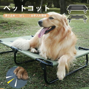 ^ɑΉ nʂ痣 ybgxbh rRbg^ ϋv ʋC RpNg gsv pxbh ܂ݎ ybgxbh