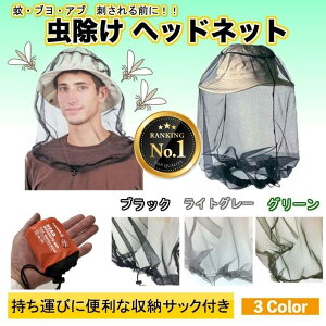 AEghA Lv Xq̏ォ^Cv ᒠ hlbg  