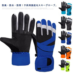 h q  h Ԃ LbY AEghA  ۉ O[u Xm[{[h  ܖ{w oCN XL[ XL[O[u