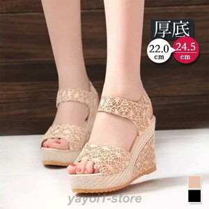  V Ȃ C O  nC ]g r[` ₷ n fB[X T_ T_ \[