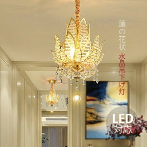  6`10 V[OCg @̉ KX a VƖ VfA }^ 傫 LEDΉ  k ^