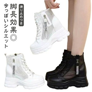 Xj[J[ fB[X bV  ؍  Cq[Xj[J[ V[Y n r Cq[ [XAbv 