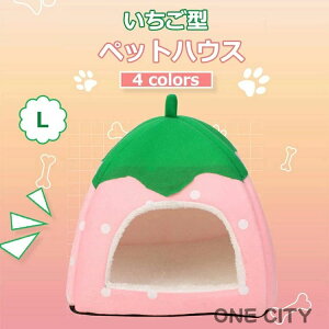 񂱃nEX ybgxbg  ܂肽  p  ^ xbh & nEX ybgnEX xbh  L ^