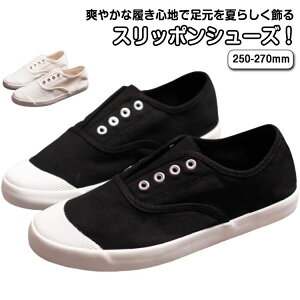 hC ₷ Xj[J[  tH amC Xb| LoXXj[J[ Y Xb|V[Y LpXV[Y