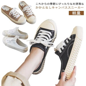   ƂȂ  C LoX Xj[J[T_ LoX T{ Xj[J[ LoXXj[J[ V[Y y