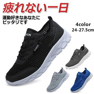  ₷ EH[LOV[Y ~ y ʋC L  bV  X|[cV[Y fB[X Y