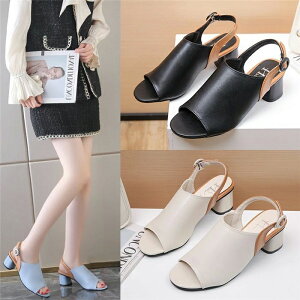   T_ ~[ Ȃ  T_ I[vgD O T_ `L[q[ ₷ T_